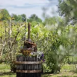 Séjour à la ferme Borgo Di Calmasino Bardolino