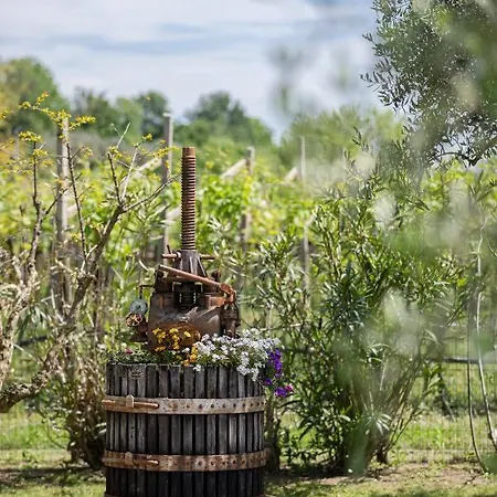 Vakantieboerderij Borgo Di Calmasino Bardolino