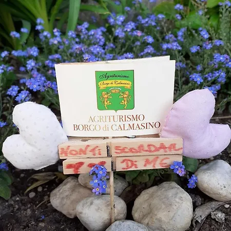 Borgo Di Calmasino Çiftlik konaklama Bardolino