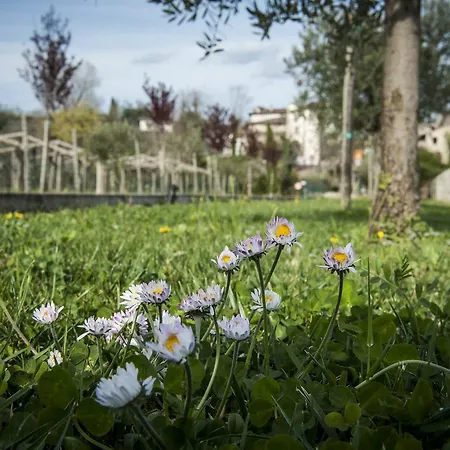 Borgo Di Calmasino *