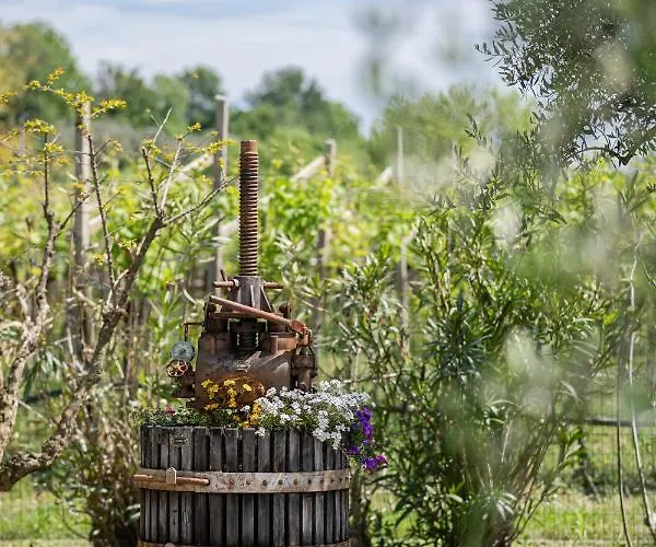 Alojamento de Turismo Rural Borgo Di Calmasino Bardolino
