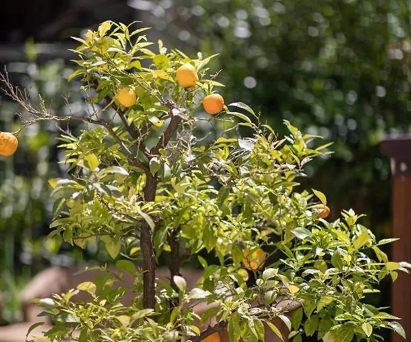 Borgo Di Calmasino *