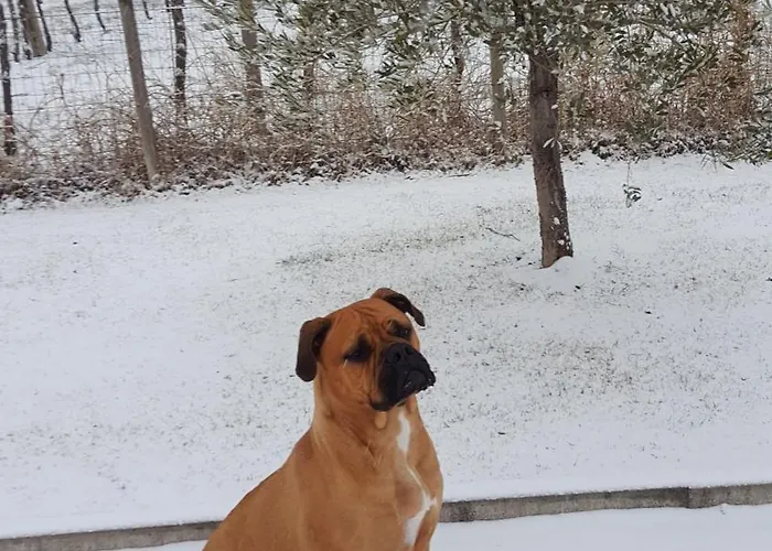 Фермерский дом Borgo Di Calmasino Бардолино