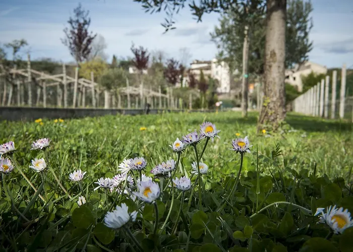 Borgo Di Calmasino *
